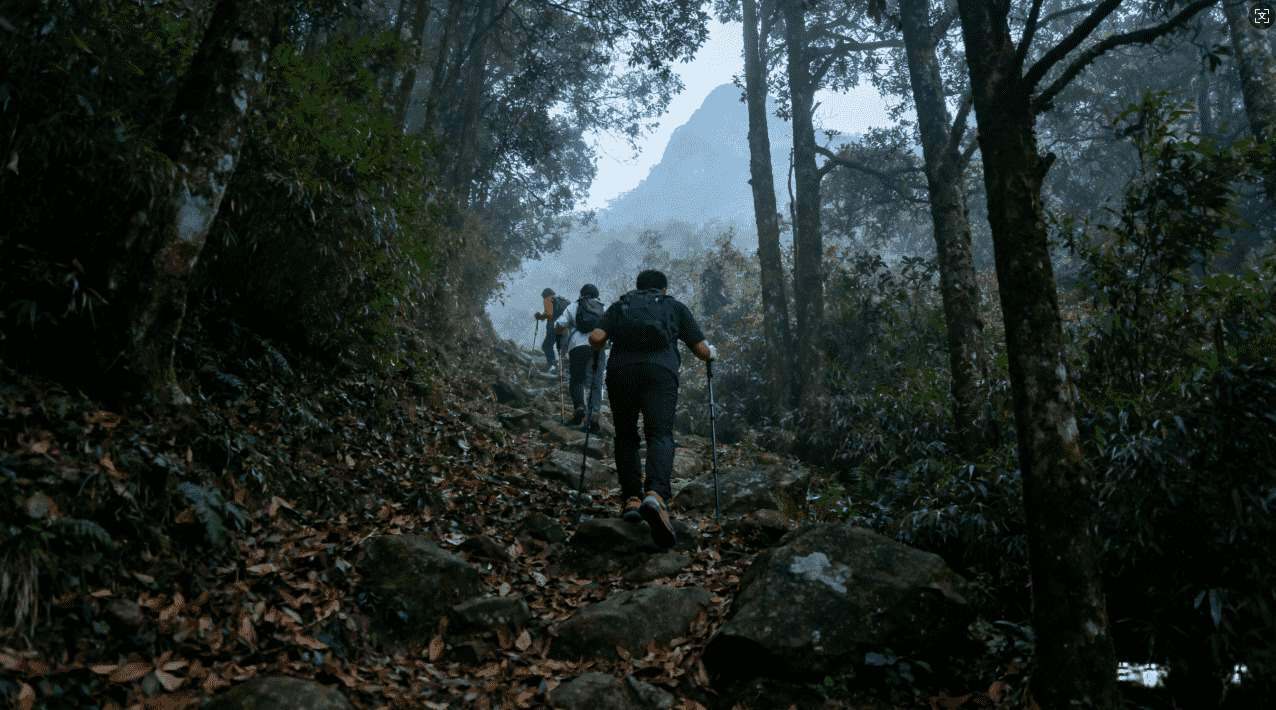 风驰加速器手游之家最新免费下载指南